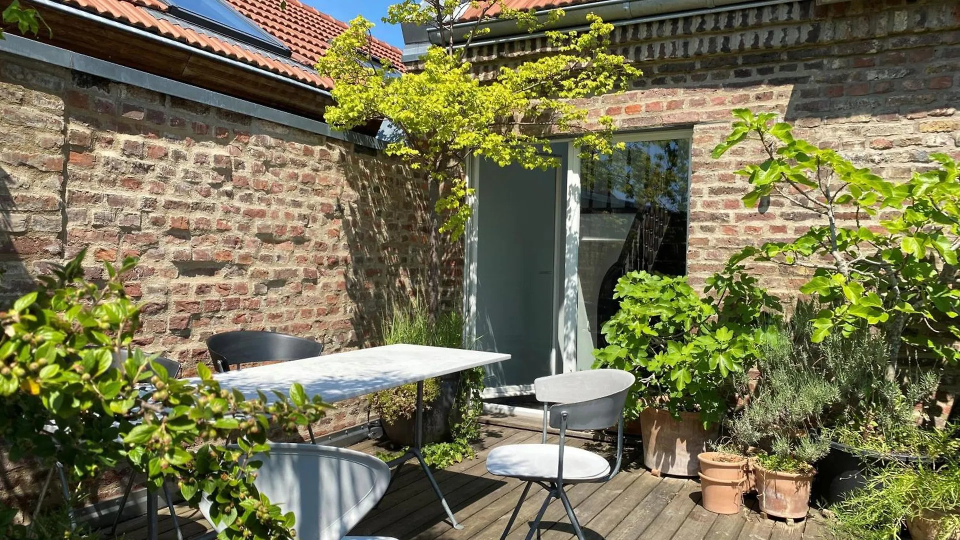 Apartamento Zehuus Mit Domblick Und Dachterrasse Colonia Alemania